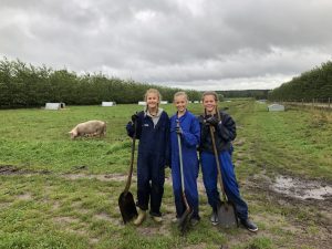 Hellerup-piger passer grise hos Hestbjerg Økologi